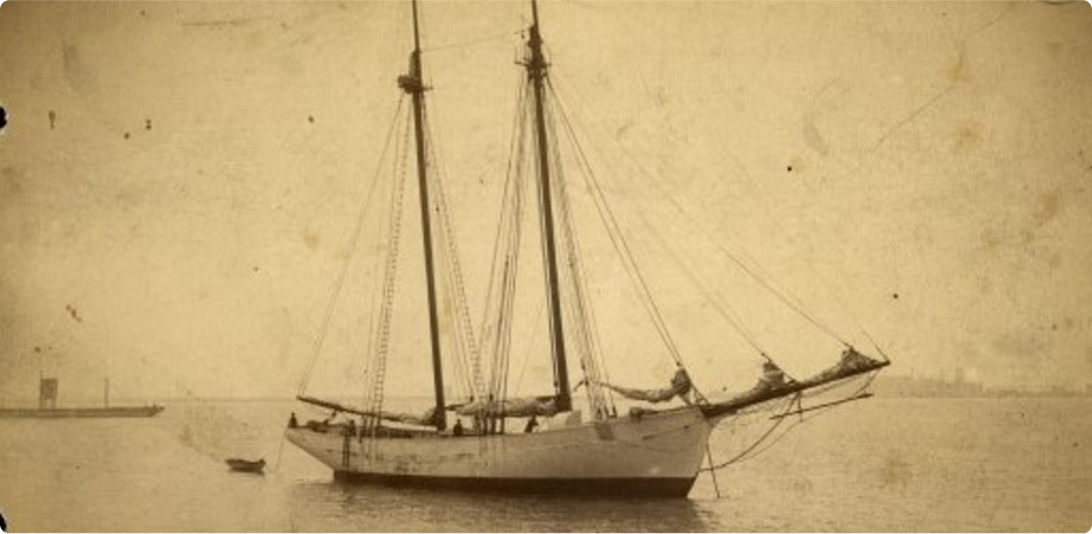 History Page